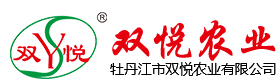 咸陽(yáng)超越離合器有限公司